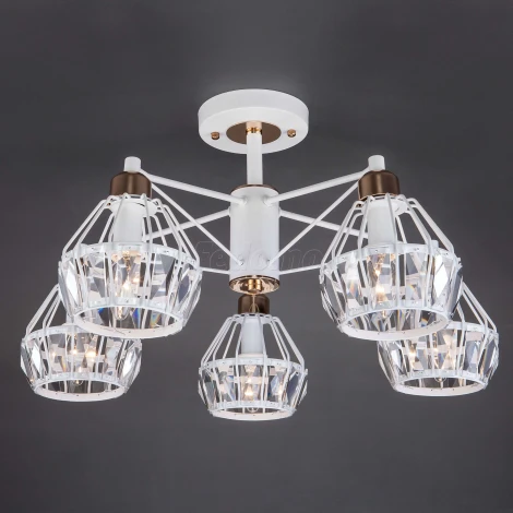 Потолочная люстра Eurosvet Lord 70075/5 белый (220V)