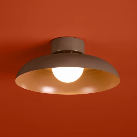 Потолочный светильник Freya Movement FR5602CL-L10BR