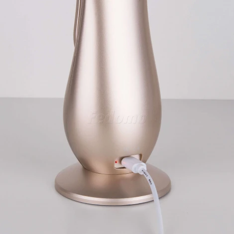 Офисная настольная лампа Elektrostandard Orbit TL90420