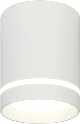 Точечный светильник накладной Escada 20009 20009SMU/01LED SWH (220V, круглые)