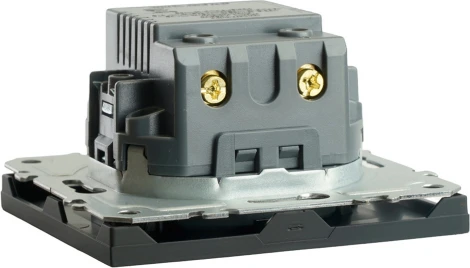 Розетка USB Type A+С (черный) Stekker Эмили 49853