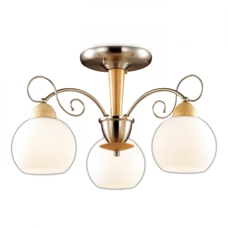 Потолочная люстра Odeon Light Narbo 2658/3C