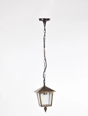 Уличный светильник подвесной Oasis Light 15905 Gb (220V, на цепи, IP44)