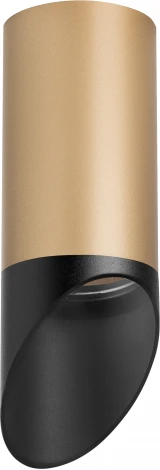 Точечный накладной светильник Lightstar Rullo R44037 (220V)