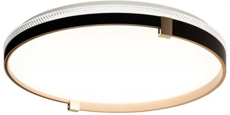 Настенно-потолочный светильник Sonex Olidi Black 7647/EL PALE SN пластик/черный/золотой LED 70Вт 3000-6000К D490 IP43 пульт ДУ (220V, круглые)