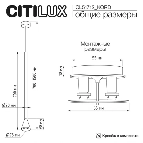 Подвесной светильник встраиваемый (+CLP10K) Citilux Skyport.10 CL51712_KORD DUZA Латунь