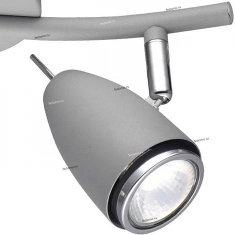 Спот на штанге Arte Lamp Regista A1966AP-2GY (220V, круглые)