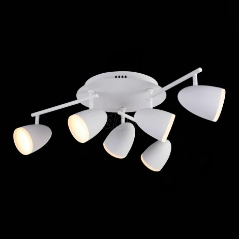 Потолочная люстра ST Luce Padivio SL387.501.06