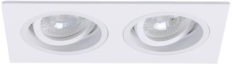 Точечный встраиваемый светильник Arte Lamp Tarf A2178PL-2WH (220V)