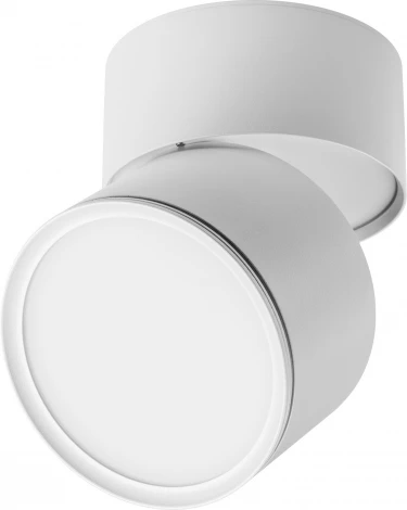 Накладной потолочный светильник Lightstar Acuto 215886 (LED, 220V, круглые, IP44)