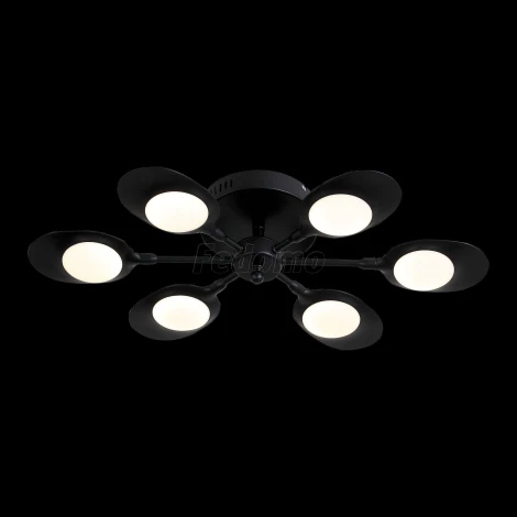 Потолочная люстра ST Luce Farfalo SL824.402.06