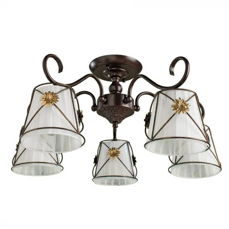 Потолочная люстра Arte Lamp Fortuna A5495PL-5BR