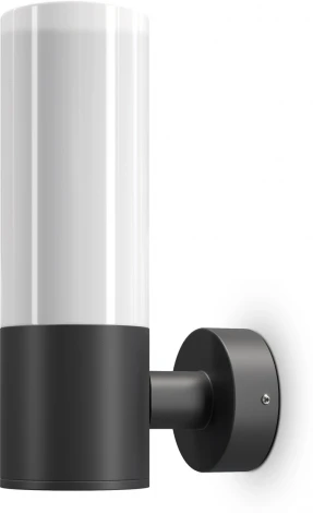 Настенный светильник уличный Maytoni Willis O418WL-01B (220V, IP54)