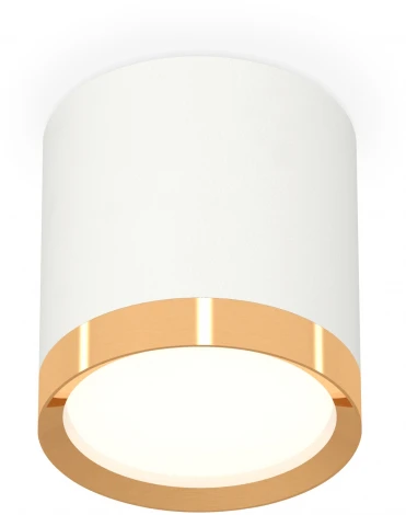 Накладной точечный светильник Ambrella Techno Spot XS8141004 (220V, круглые)