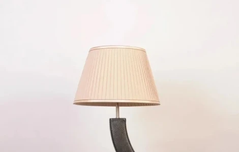 Интерьерная настольная лампа Abrasax Charlotte MT68113BP (220V, выключатель)