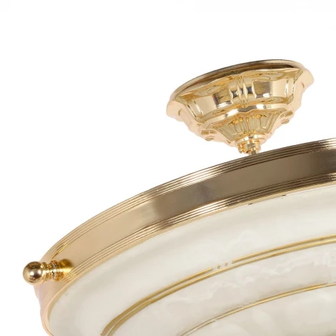 Потолочная люстра Arti Lampadari Pavia E 1.13.P40 G (220V)