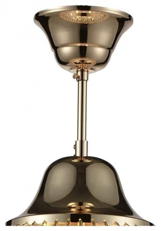 Подвесная люстра ST Luce Anticato SL669.203.03