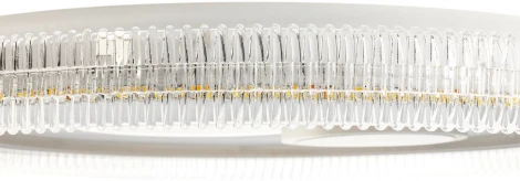 Потолочная люстра светодиодная с ДУ Ritter Galassia 51579 5