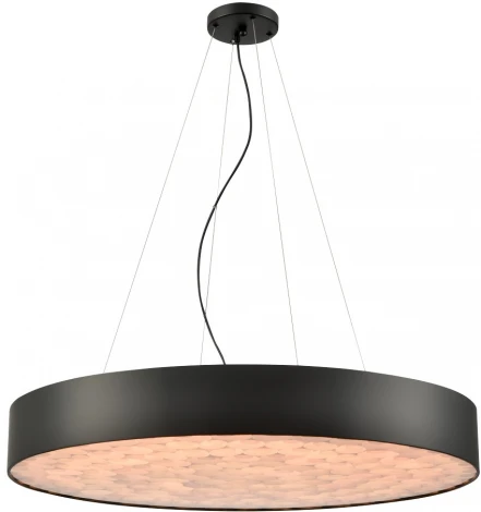 Подвесной светильник Wertmark Edera WE510.02.723 (LED, 220V, на тросе, круглые)