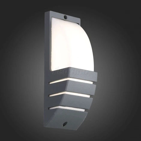 Настенный светильник уличный ST Luce Vettore SL091.701.01