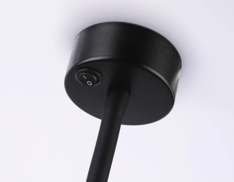 Настенно-потолочный светильник с выключателем Ambrella WALLERS FW2470 (220V)