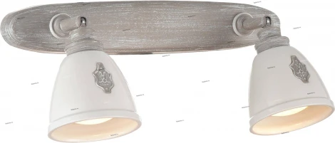 Спот Maytoni Agnes SP289-CW-02-BG