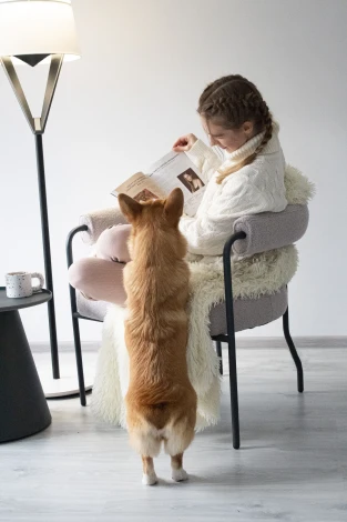 Кресло Sheffilton SHT-AMS120 светло-серый/антрацит 2532918502