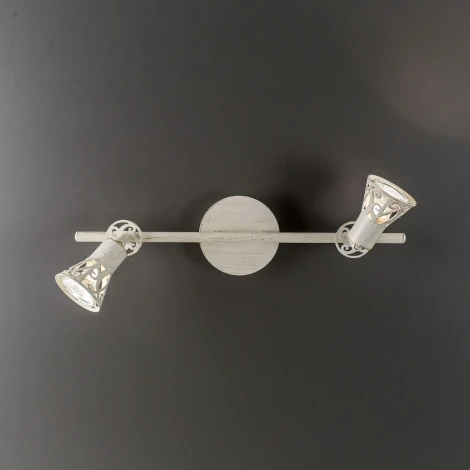 Спот на штанге Citilux Винон CL519525 (220V, круглые)