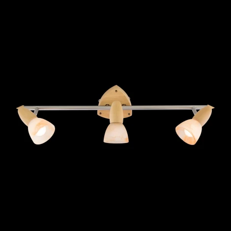 Спот Citilux Монте CL505531