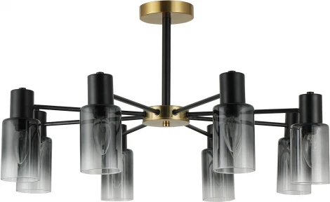 Потолочная люстра на штанге Reluce 74677-0.3-08 (220V)