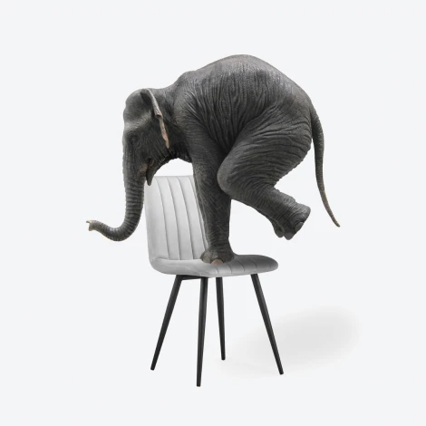 Стул на металлокаркасе Дани Мебрешения (Дани серый велюр velutto 52 / черный) Notta арт.572066