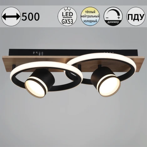 Потолочная люстра с пультом с регулировкой цветовой температуры, яркости и ночным режимом Reluce 29560-0.3-2+2 BK+WOOD