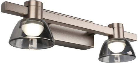 Настенный светильник Aployt Rezeda APL.788.01.02 (LED, 220V)