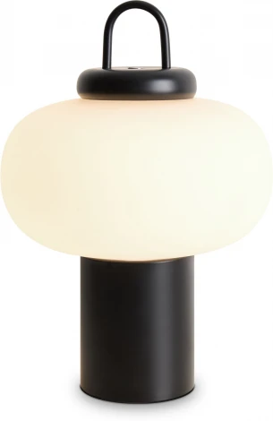 Настольная лампа Freya Take FR6175TL-L10B (LED, 220V, круглые)