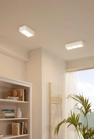 Накладной точечный светильник Eglo Colegio 95202