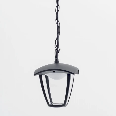 Уличный светильник подвесной Citilux CLU04P (LED, 220V, на цепи, IP54)