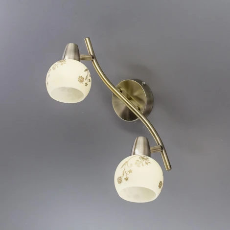 Спот на штанге Citilux Соната CL520523 (220V, цветы, круглые)