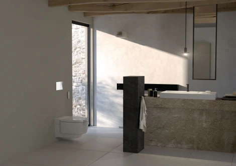 Унитаз подвесной Geberit AquaClean Mera Classic 146.204.11.1 альпийский белый