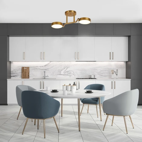 Потолочная люстра на штанге светодиодная Escada Starlight 10273/2LED 24Вт, металл/пластик, шампань (220V)