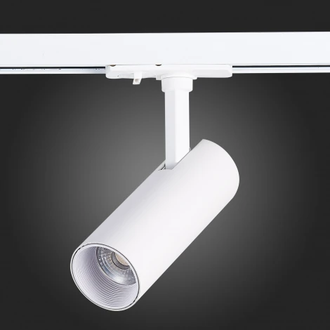 Трековый светильник ST Luce Mono ST350.536.10.36 (LED, 220V, круглые, IP22)