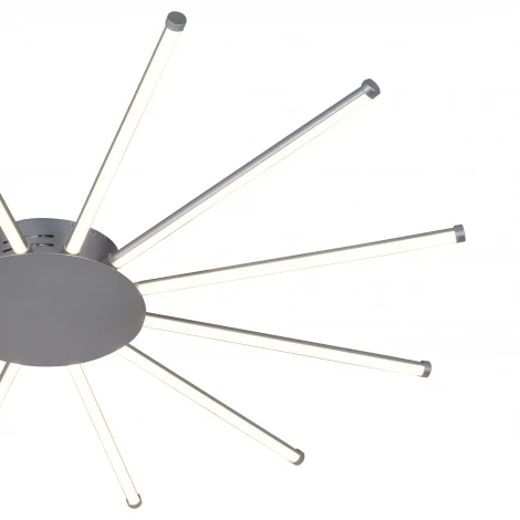 Потолочная люстра Favourite Aster 2379-12U