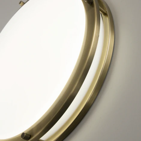 Настенно-потолочный светильник Citilux Бостон CL709323N (LED, 220V, диммер, круглые, IP44)