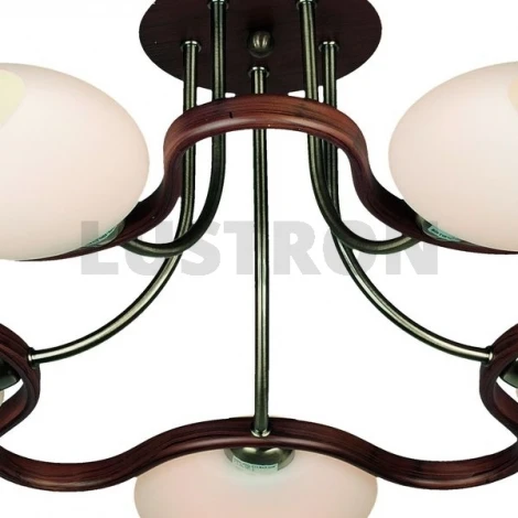 Потолочная люстра Omnilux Verona OML-26917-05