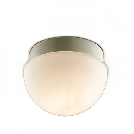 Настенно-потолочный светильник Odeon Light Minkar 2443/1B