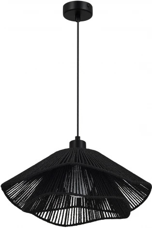 Подвесной светильник Evoluce Verve SLE6023-403-01 черный/черный E27 1*40W