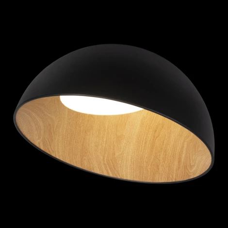 Потолочный светильник круглый Egg 10197/500 Black Loft It (LED, 220V, круглые)
