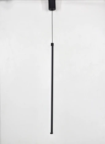 Подвесная люстра светодиодная Rivoli Cecilia 6185-702 (220V, на проводе, круглые)