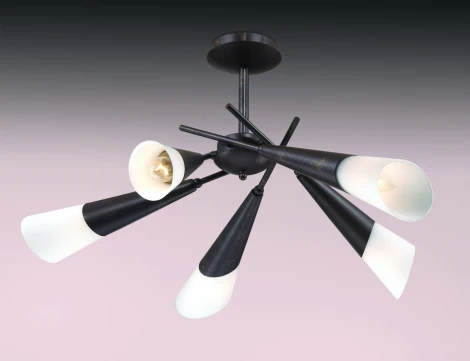 Потолочная люстра Odeon Light Evans 2464/5C