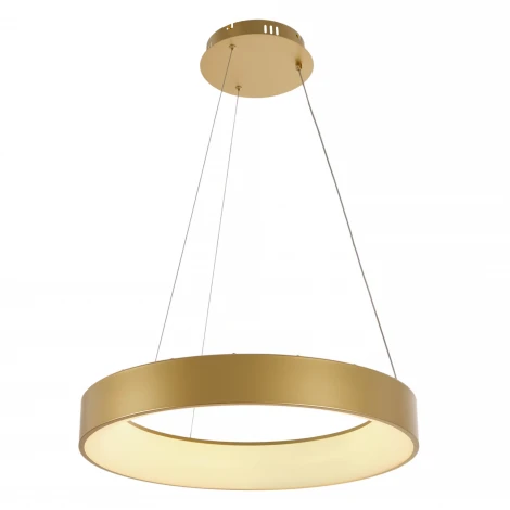 Подвесной светодиодный светильник MyFar Shannon MR2192-1PL (220V, пульт управления, на тросе, круглые, IP40)