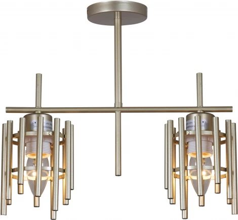 Потолочная люстра на штанге Reluce 01508-0.3-02 PG (220V)